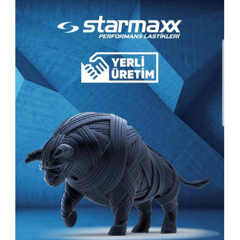 STARMAXX (PETLAS) 235/35R19 91W ULTRA SPORT ST760