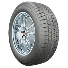 STARMAXX 205/65/15 94H ICE GRIPPER W850